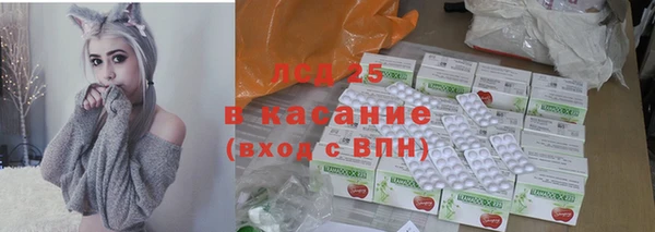 спайс Аша