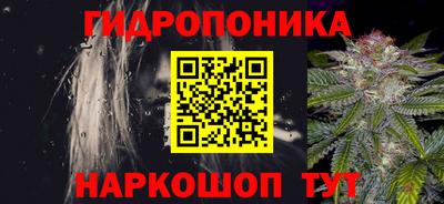 стафф Берёзовский