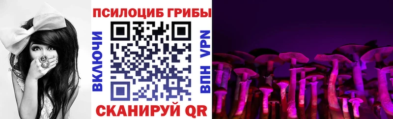 Псилоцибиновые грибы GOLDEN TEACHER Хабаровск