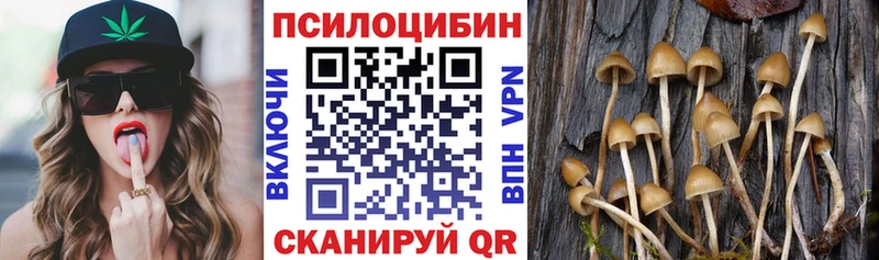 Галлюциногенные грибы GOLDEN TEACHER  Хабаровск 
