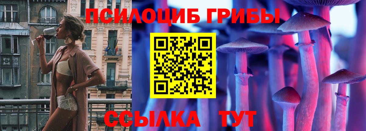 Галлюциногенные грибы прущие грибы  Псилоцибиновые грибы Magic Shrooms  наркошоп  Хабаровск 